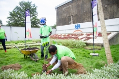 Tree-planting-by-CM-00000003